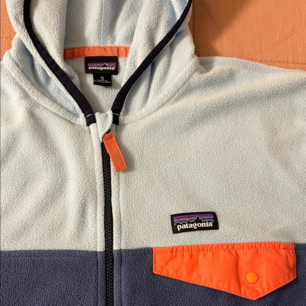 Patagonia Blue Hooded Fleece Jacket